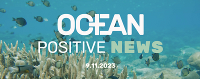 Ocean Positive News 🌊 9.11.23