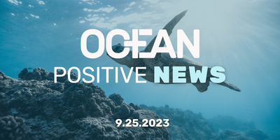 Ocean Positive News 🌊 9.25.23