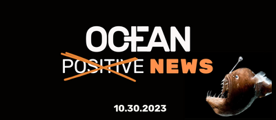 Ocean Positive News 🌊 10.30.23