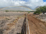 Restore the Watershed in Maui