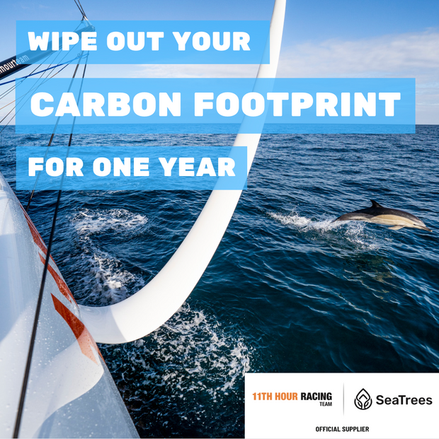 Compensate Your Carbon Footprint - For One Year with 11th Hour Racing Team and SeaTrees