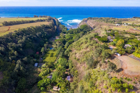 Brand Partner Coastal Watershed Restoration in Hawaii