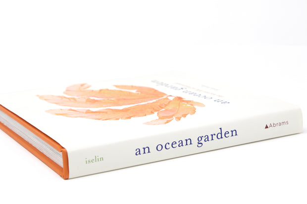 An Ocean Garden by Josie Iselin